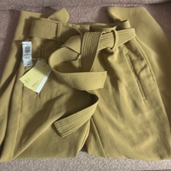 Wilfred tie front dress pants size 0 Sandy beige - BRAND NEW WITH TAGS - Picture 5 of 7